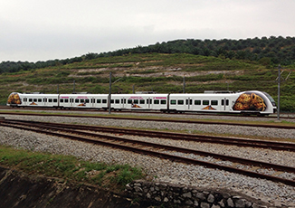 BoxFresh Service - Vehicle Wrap - Train